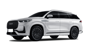 Renting Empresas Jaecoo 8 - Exclusive