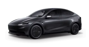 Renting Empresas Tesla Model Y - RWD